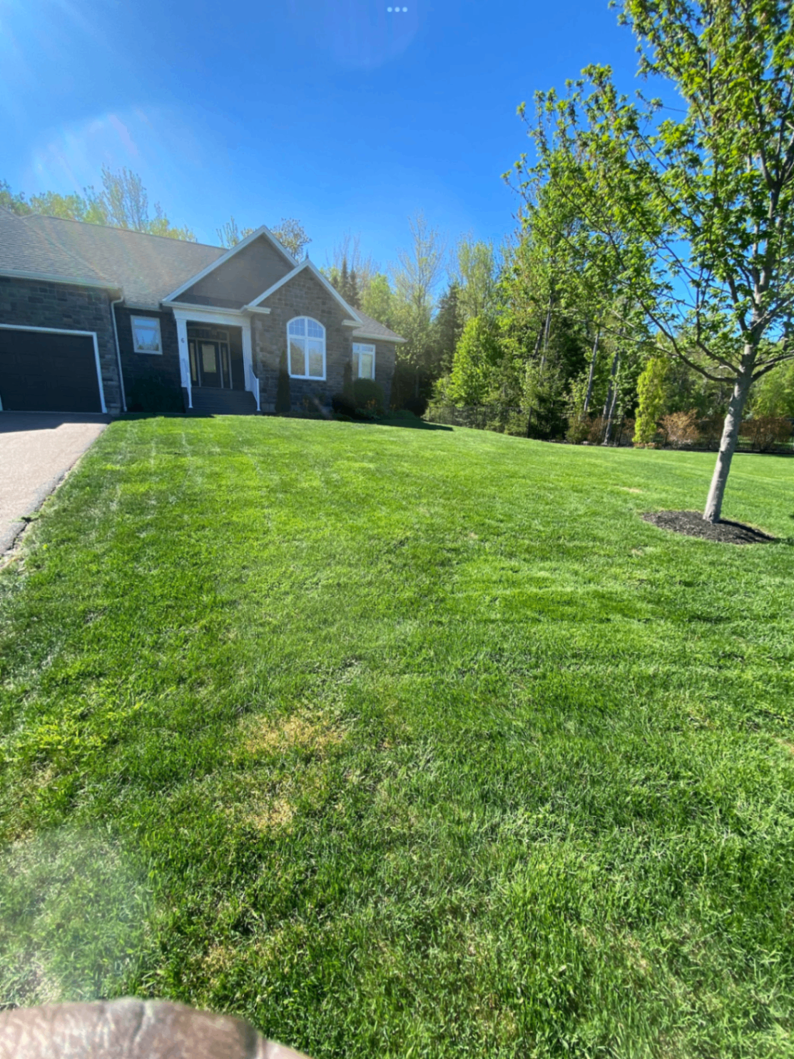 Freshly mowed front lawn in front of a home
